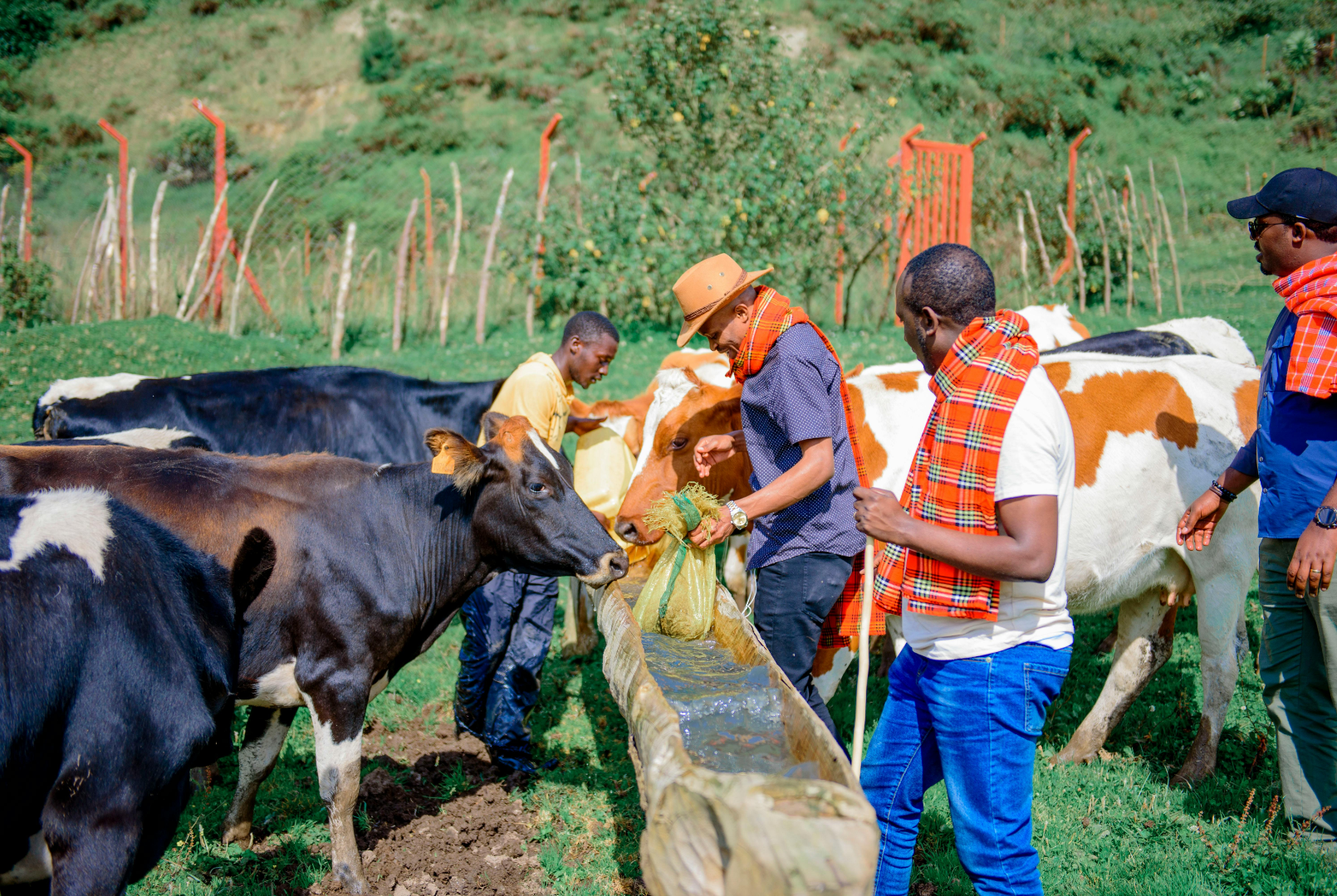 Musanze Farm - 3